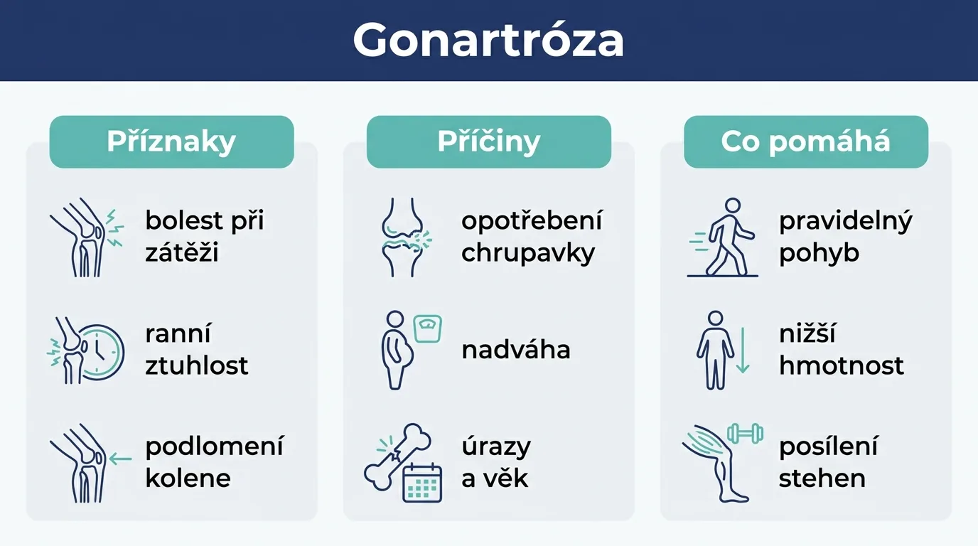 Infografika s příznaky, příčinami a možnostmi úlevy u artrózy kolene.
